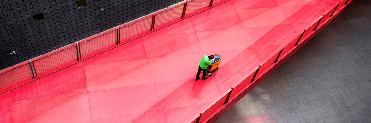 Limpeza Profissional